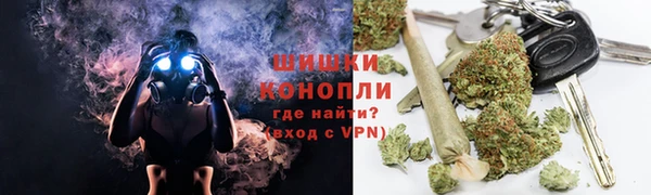 шишки Гусев