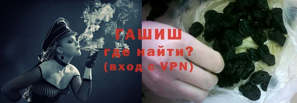шишки Гусев