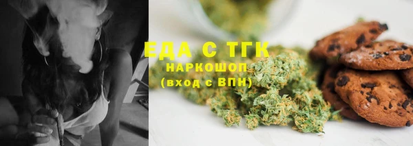 шишки Гусев
