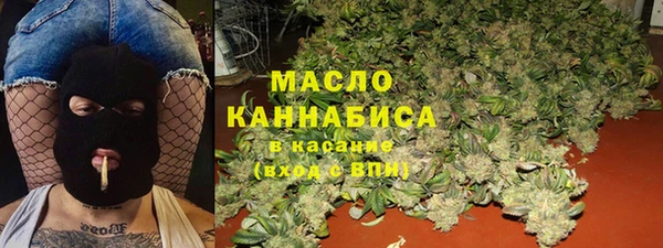шишки Гусев