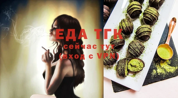 шишки Гусев