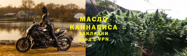 шишки Гусев