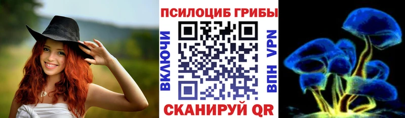 Купить закладки  Ржев  Галлюциногенные грибы Magic Shrooms 
